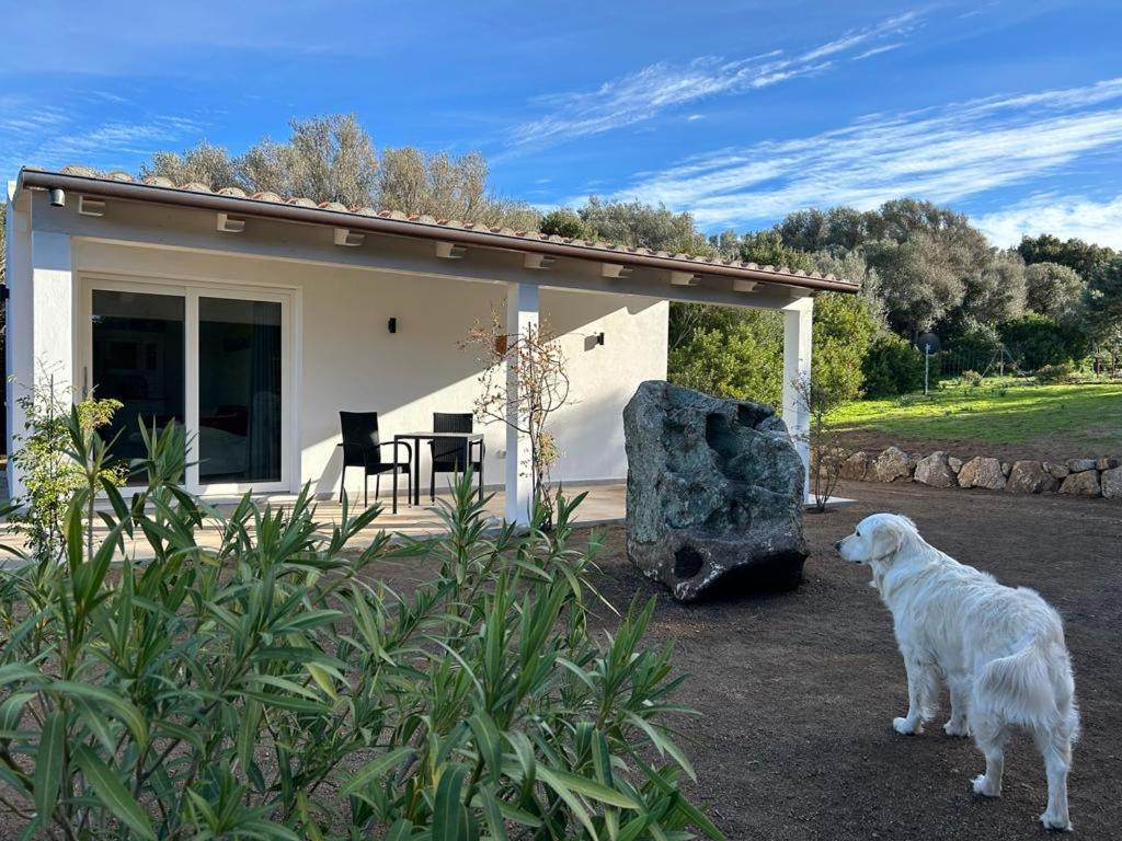 La Piana Holiday House Bassacutena Bagian luar foto