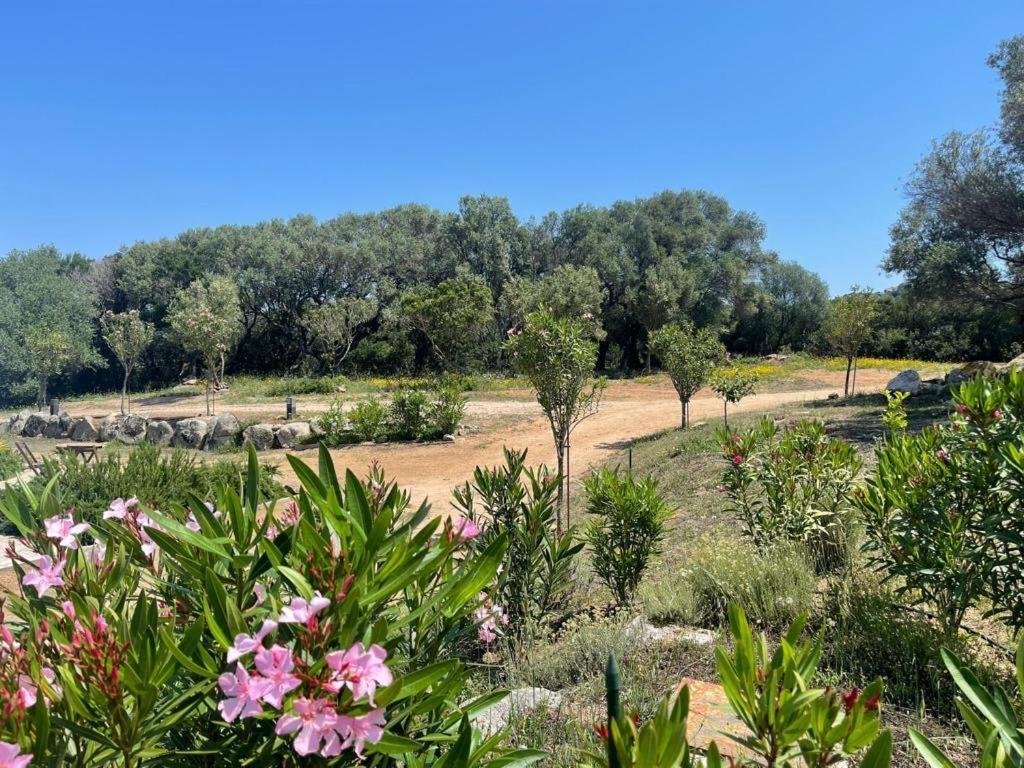 La Piana Holiday House Bassacutena Bagian luar foto