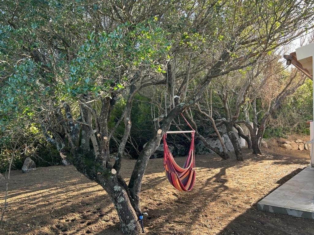 La Piana Holiday House Bassacutena Bagian luar foto