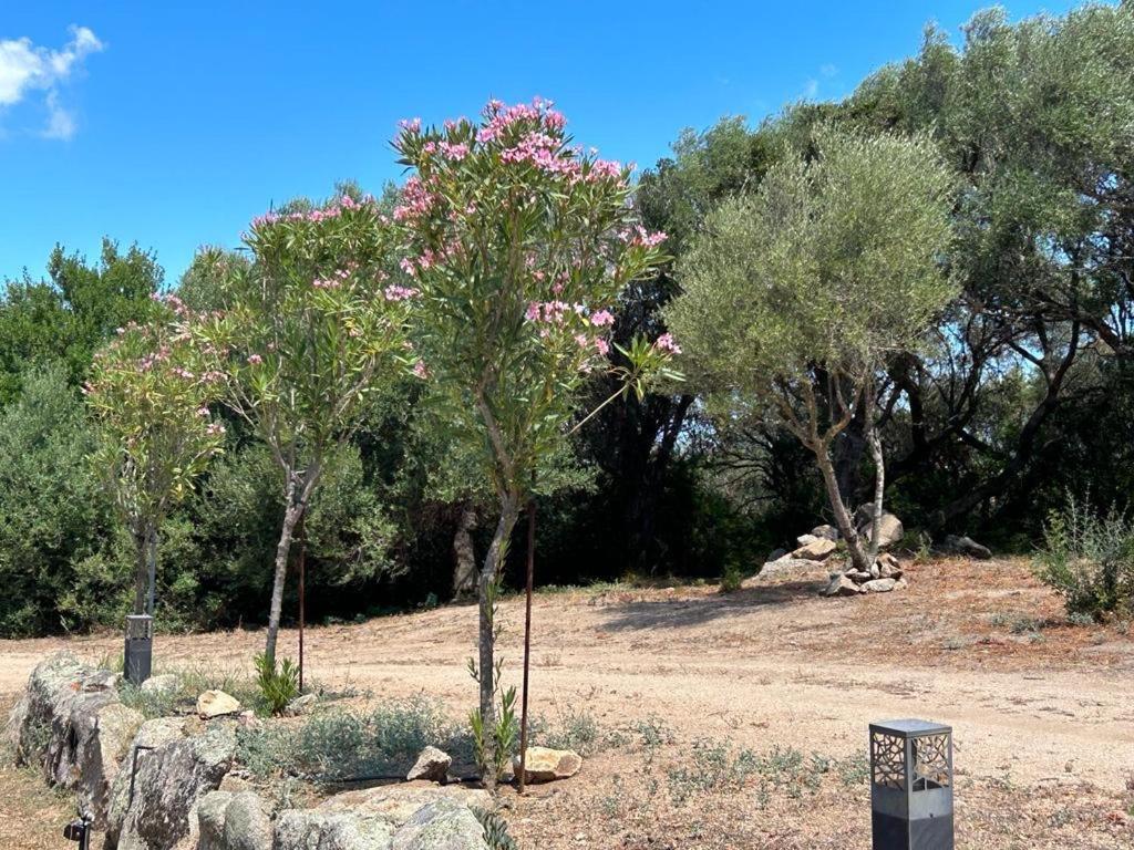 La Piana Holiday House Bassacutena Bagian luar foto