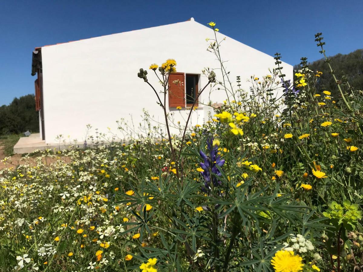 La Piana Holiday House Bassacutena Bagian luar foto