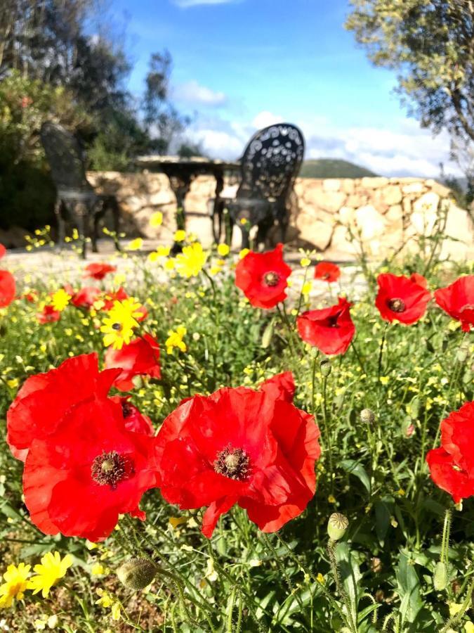 La Piana Holiday House Bassacutena Bagian luar foto